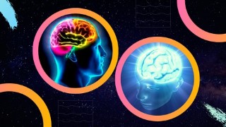 Train your Brain and Mind