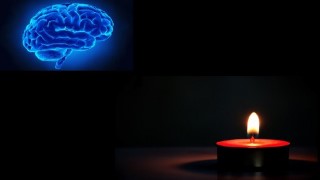 Transactional Analysis (TA) A Study