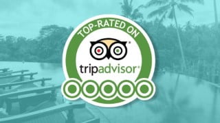 TripAdvisor Domination For Hospitality & Hotel Management