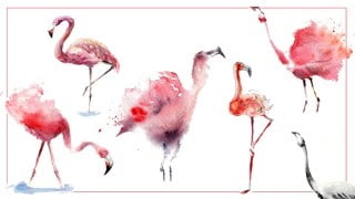 Watercolor Painting Workbook: Pink Flamingos in 6 Styles