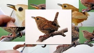 Watercolour Bird Painting - How To Paint a Realistic Wren