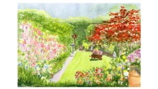 Watercolour painting. Mums garden. How to paint your garden.