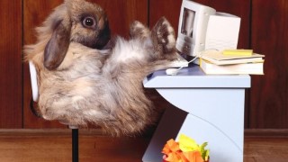 Become More Confident At Workplace Now With NLP Techniques