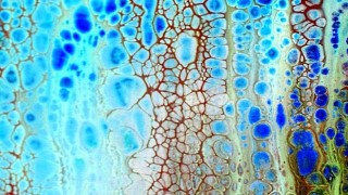 Free Acrylic Painting Tutorial - Introduction To Fluid Art