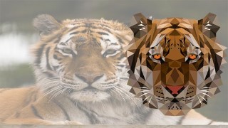 Free Adobe Illustrator Tutorial - Create Your First Low Poly Portrait and Sell it Online