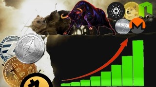 Free Altcoin Tutorial - Altcoins to the Moon - Crypto talk