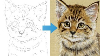 Free Colored Pencil Drawing Tutorial - Draw a Kitten using Pastel Pencils