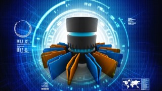 Free Data and Information Management Tutorial - Master Data Management