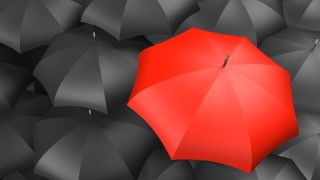 Free Diversity and Inclusion Tutorial - Diversity and Inclusion Strategies