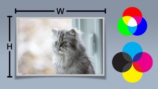 Free Graphics Tutorial - Understanding Images