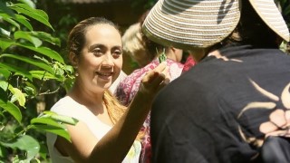 Free Herbalism Tutorial - Balinese ancient knowledge about Beauty from Plants and Herb