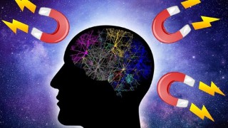 Free Manifestation and Law of Attraction Tutorial - Activate the Law of Attraction in your Life