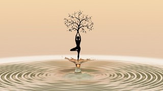 Free Manifestation and Law of Attraction Tutorial - Tap into the abundance of Law of Attraction (LOA)