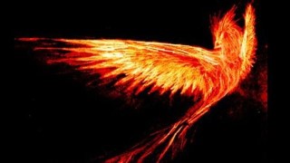 Free Martial Arts Tutorial - Introduction to Throwing Knives