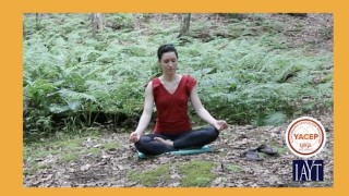 Free Meditation Tutorial - Foundation Skills for a Successful Meditation Practice