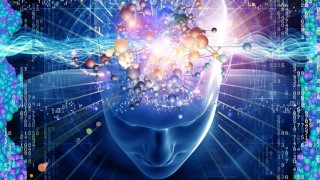 Free Memory Tutorial - Enhancing Memory Retention : A Gateway For Students To Excel