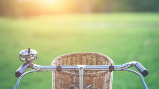 Free Mental Health Tutorial - Daycation for One