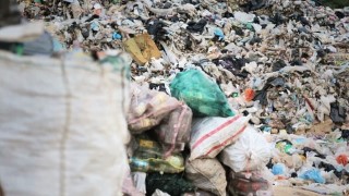 Free Mindset Tutorial - How to Get Rid of Head Trash