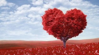 Free Motivation Tutorial - Learn How To Start Living The Life You Want