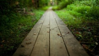Free Personal Development Tutorial - Embrace The Pain Your path to transformative change