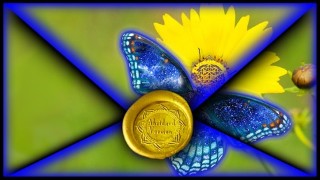 Free Personal Development Tutorial - Transcending Perceptions, Abridged - A6.A