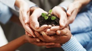 Free Personal Development Tutorial - Value Education
