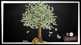 Free Personal Finance Tutorial - Money Seed