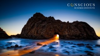 Free Personal Success Tutorial - Conscious Business: Work & Succeed with Purpose & Fulfilment