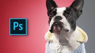 Free Photoshop Tutorial - Adobe Photoshop Animal Retouching