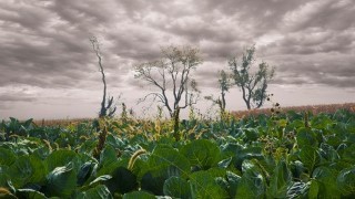 Free Photoshop Tutorial - Thee Simple Methods To Improve Sky In Photoshop