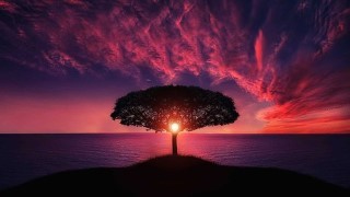 Free Positive Thinking Tutorial - Positive Affirmations - For Daily Self Talk.