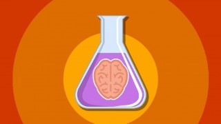 Free Psychology Tutorial - 5 Amazing Psychology Experiments