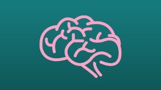 Free Stress Management Tutorial - Accelerated BluePrint For Stress Free Mind Disease Free Body