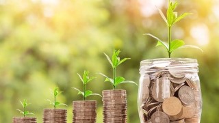 Free Value Investing Tutorial - ABSOLUTE BEGINNERS Guide to Start Investing