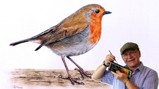 Free Watercolor Painting Tutorial - How to Paint a Realistic Robin Bird in Watercolour