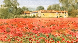 Free Watercolor Painting Tutorial - Watercolor painting with Master step-by-step: Poppy field