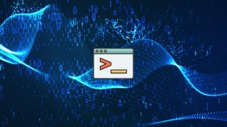 Free Webpack Tutorial - Learn Webpack 2 from scratch