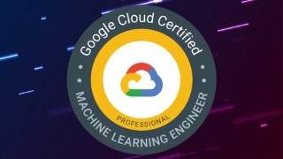 Google Professional Machine Learning Engineer Tests 2023
