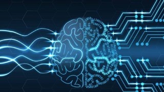 Learn Machine Learning From Scratch