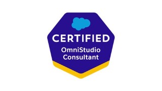 Salesforce OmniStudio Consultant Practice Exams - 2023