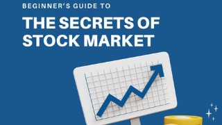 Stock Market for Newbies