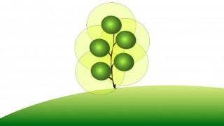 The Java Spring Tutorial: Learn Java's Popular Web Framework