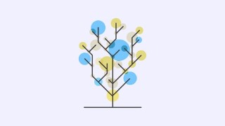 Tree Data Structure and Algorithms