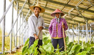 Climate Action in Biodiverse Landscapes