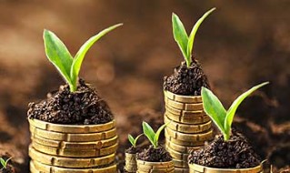 Economics and Policies for a Circular Bio-Economy