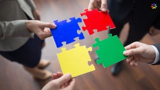 Free Business Collaboration Tutorial - Business Collaboration Skills: Beginners Training Guide