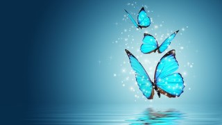 Free Content Creation Tutorial - Creative Content Writing & Blogging