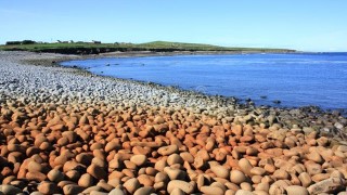 Free Graph Databases Tutorial - Graph Databases With Neo4j