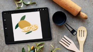 Free Procreate Digital Illustration App Tutorial - Procreate for iPad Beginner Class