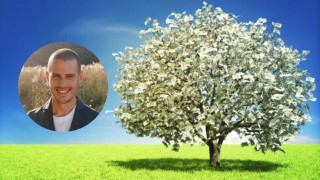 The Abundance Code: Unlock Your Wealth Mindset